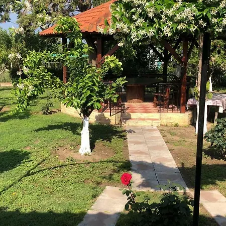 Summer Vacation Vakantiehuis *